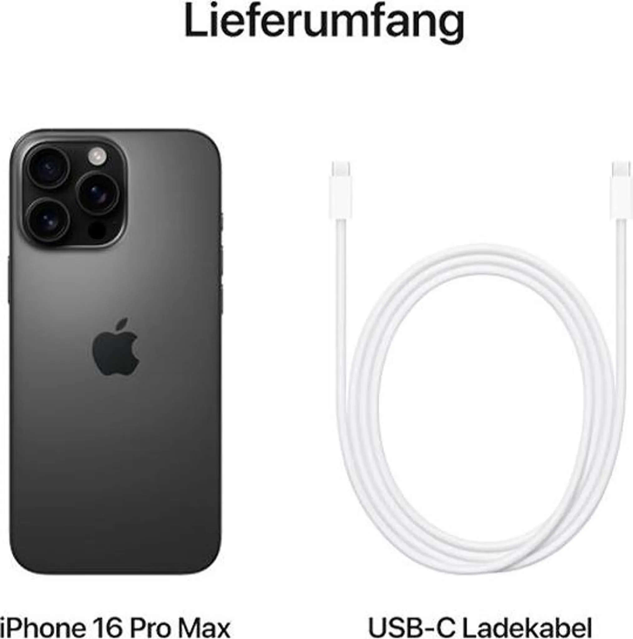 iPhone 16 Pro Max 256GB Titan Schwarz